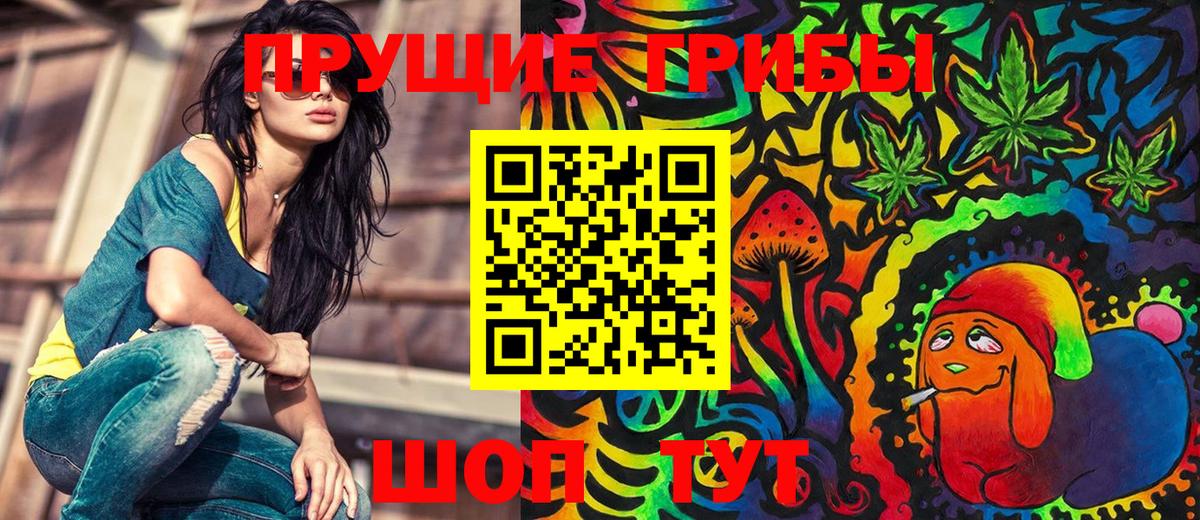 Галлюциногенные грибы Cubensis Борисоглебск